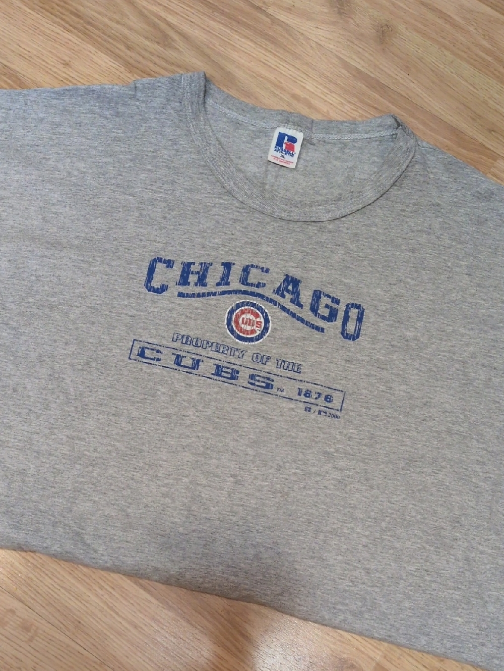 Russell Athletic Gray Chicago Cubs Graphic Tee with Blue Print